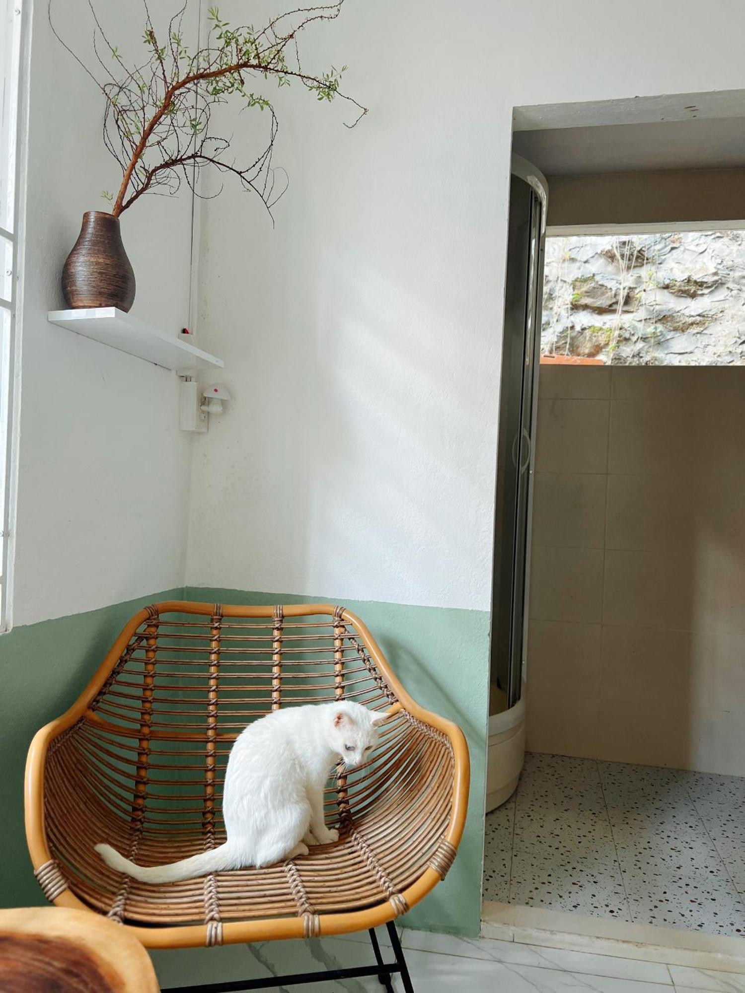 The Hue Homestay Luaran gambar